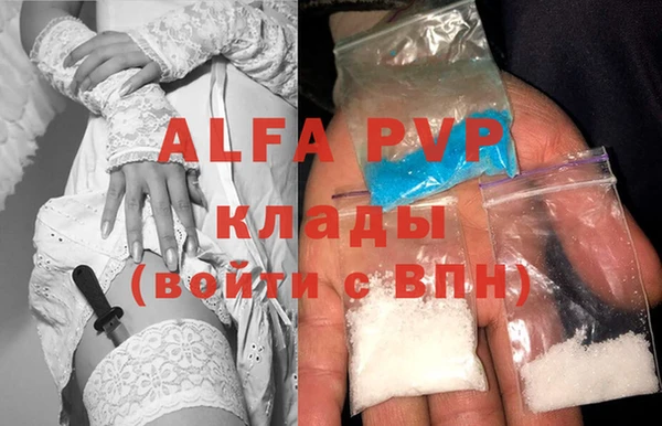 индика Абинск